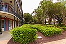 Port Orleans French Quarter