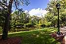 Port Orleans Riverside &ldquo;Alligator Bayou&rdquo; area