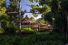 Port Orleans Riverside, Alligator Bayou Walking Tour, Lodge 17