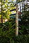 Port Orleans Riverside, Alligator Bayou Walking Tour