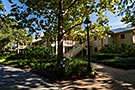Port Orleans Riverside, Alligator Bayou Walking Tour, Lodge 25