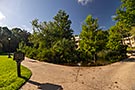 Port Orleans Riverside, Alligator Bayou Walking Tour