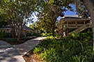 Port Orleans Riverside, Alligator Bayou Walking Tour, Lodge 35