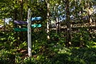 Port Orleans Riverside, Alligator Bayou Walking Tour, Lodge 39